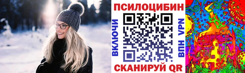 Купить где  Моздок  Галлюциногенные грибы Psilocybe 