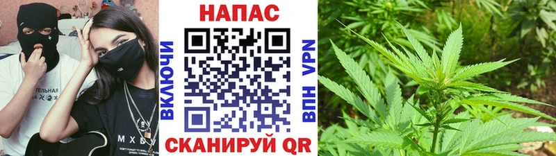 Бошки марихуана Bruce Banner Моздок